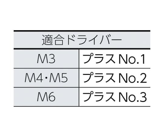 トラス頭小ねじ ステンレス 全ネジ M6×15 33本入　B52-0615