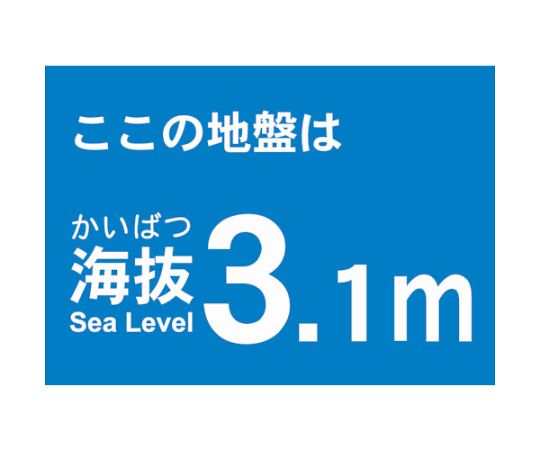 海抜ステッカー　3.1m　（2枚入）