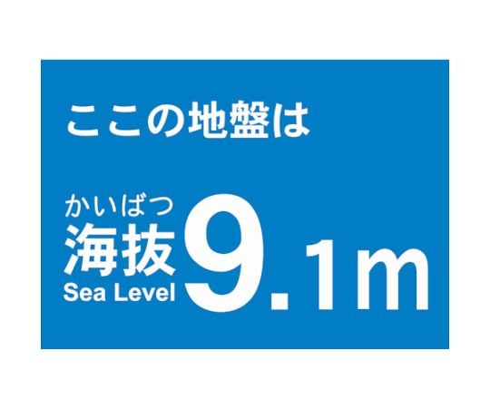 海抜ステッカー　9.1m　（2枚入）