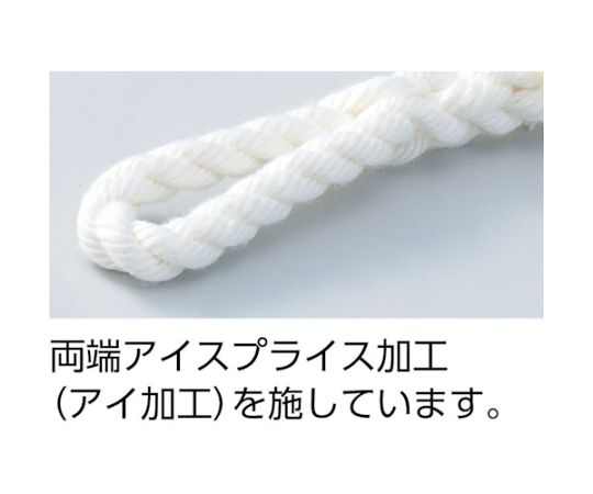 ビニロントラックロープ　3つ打　線径9mmX長さ30m　TR-930
