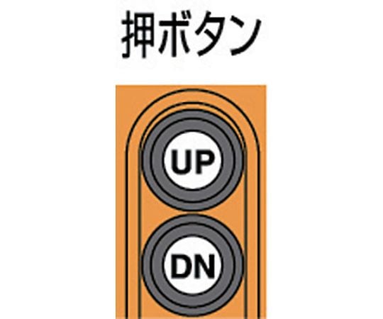 単相100V小型電気チェーンブロック（1速型）100kg・3m （αS-01 3m）　AS-K1030