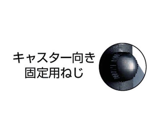キャスパッド プレート式双輪キャスターエラストマー車 荷重117.6 白 CAPF75UW