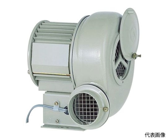 電動送風機 汎用シリーズ（0.25kW） SF-75