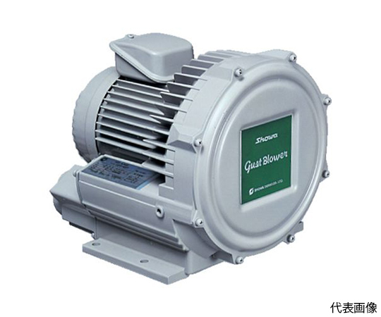 電機 電動送風機 渦流式高圧シリーズ ガストブロアシリーズ（0.4kW） U2V-40T