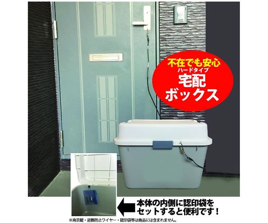 Amazon.com: エレメンタリー ホームズ＆ワトソン in NY シーズン