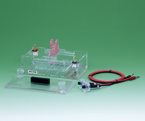 Incident ID: bc1b5109-bohn-4fd9-987d-e97aebb994be                          IP Address : 219.104.25.38