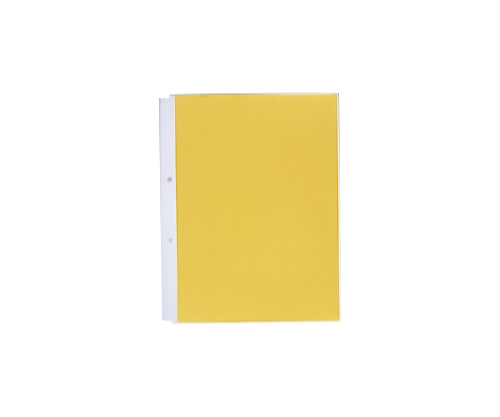 ルポ・リーンフォース・クリヤーポケット<超厚口> 1組（10枚入）