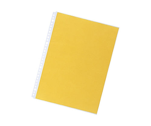 ルポ・リーンフォース・クリヤーポケット<超厚口> 1組（10枚入）