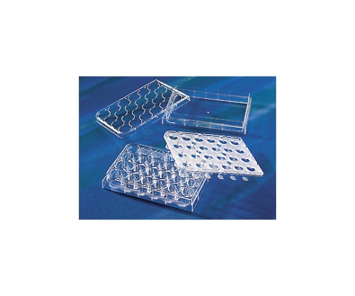 トランズウェルインサート一体型24ウェルポリエステルメンブレン 0.4μm リザーバートレイ付 1ケース（1個×2パック入）