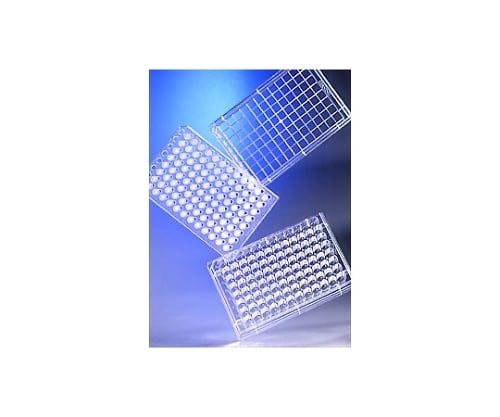 トランズウェルインサート一体型96ウェル0.4μポリカーボネイトメンブレン 1個/パック×1パック