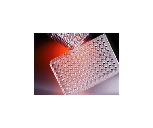 トランズウェルインサート一体型96ウェル　5.0μmポリカーボネイトメンブレン 1個/パック×2パック