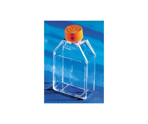 フラスコ無処理25cm2カントネックベントキャップ 1ケース（20個×10パック入）