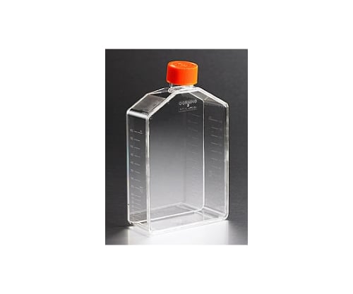 フラスコ無処理175cm2アングルネックベントキャップ 1ケース（5個×10パック入）