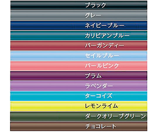 ［取扱停止］リットマン(TM)ステソスコープ クラシックⅢ(TM) ダークオリーブグリーン/スモーク　5812