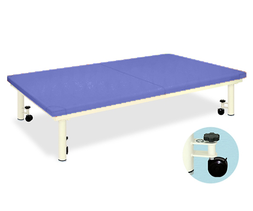 Platform Bed with caster W100 x L190 x H35cm Light-blue TB-945