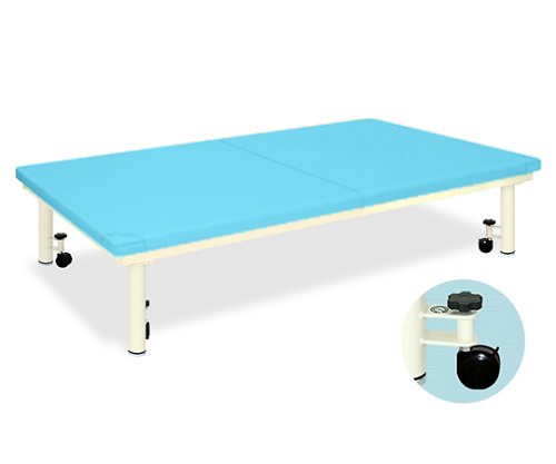Platform Bed with caster W100 x L190 x H40cm Skyblue TB-945