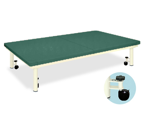 Platform Bed with caster W100 x L190 x H40cm Medigreen TB-945
