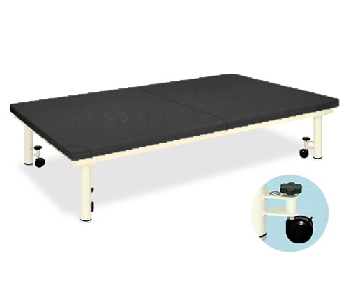 Platform Bed with caster W100 x L200 x H40cm Black TB-945