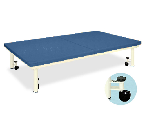 Platform Bed with caster W100 x L200 x H40cm Mediblue TB-945