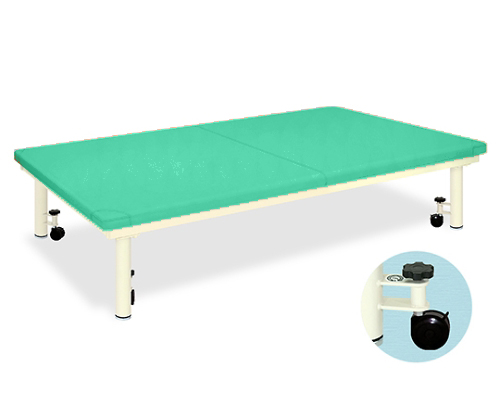 Platform Bed with caster W100 x L200 x H45cm Light-green TB-945