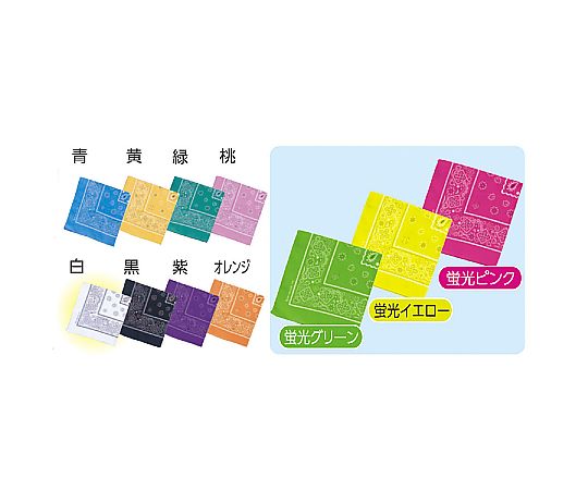 Amazon | [Studio Plus] バンダナ ペイズリー 大判 3枚セット