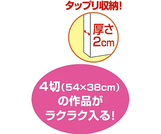 新 作品収納ケース 大 白無地　11141