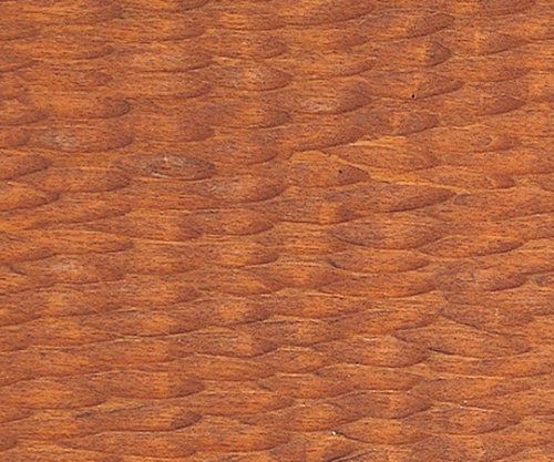 61-6041-04 ウッドステン(水溶性、液状)木彫ワックス付 ブラウン 31900 【AXEL】 アズワン
