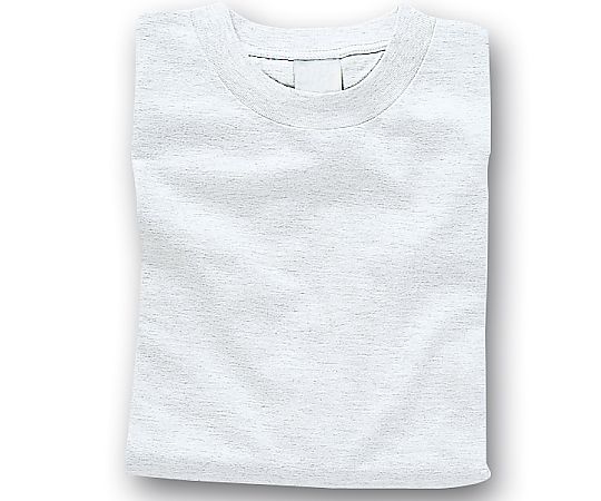 カラーTシャツ L 15ホワイト（b） 38728