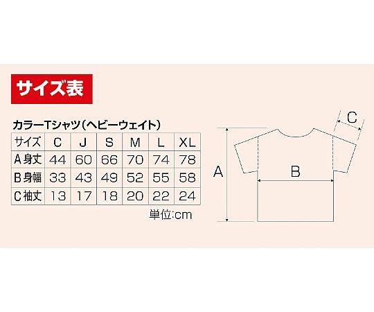 カラーTシャツ J 010 レッド 38969