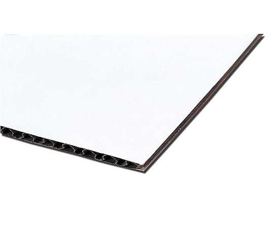 片面白段ボール(10枚組)