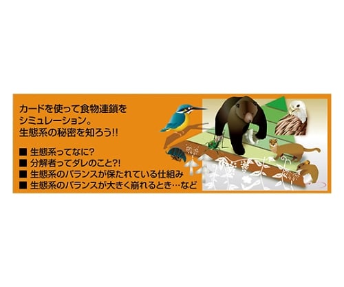 取扱を終了した商品です］食物連鎖学習ゲーム 55717 61-6052-29 【AXEL