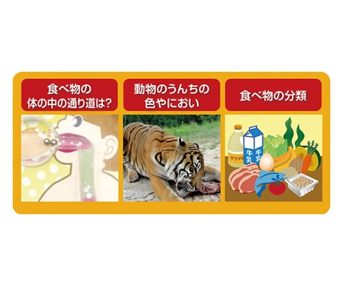 取扱を終了した商品です 食べたものはどこへ行くの 体のめいろ 61 6052 40 Axel アズワン 取扱を終了した商品です 食べたものはどこへ行くの 体のめいろ 61 6052 40 Axel アズワン