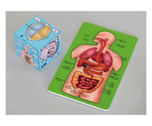 取扱を終了した商品です 人体キューブ パズルセット遊んで学べるからだのしくみ 61 6052 42 Axel アズワン 取扱を終了した商品です 人体キューブ パズルセット遊んで学べるからだのしくみ 61 6052 42 Axel アズワン