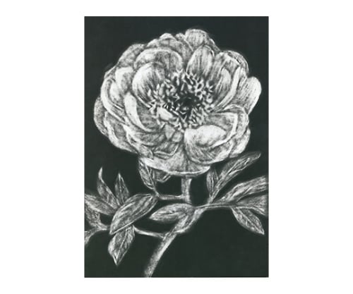 取扱を終了した商品です 消してかくスクラッチボードボート 61 6053 51 Axel アズワン 取扱を終了した商品です 消してかくスクラッチボードボート 61 6053 51 Axel アズワン