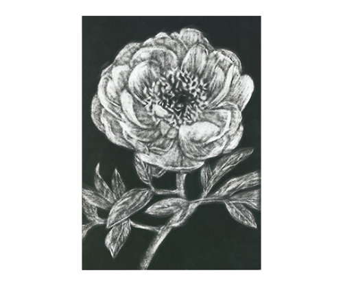 取扱を終了した商品です 消してかくスクラッチボードボート 61 6053 51 Axel アズワン 取扱を終了した商品です 消してかくスクラッチボードボート 61 6053 51 Axel アズワン