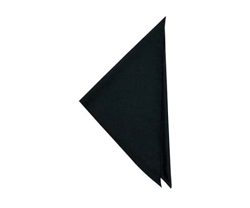 三角巾 JY4933-9 黒 4699930