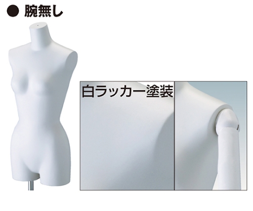61-7234-53取扱停止婦人ボディ本体ボディのみ フロア 腕無し 白ラッカー塗装 7号61-182-4-1