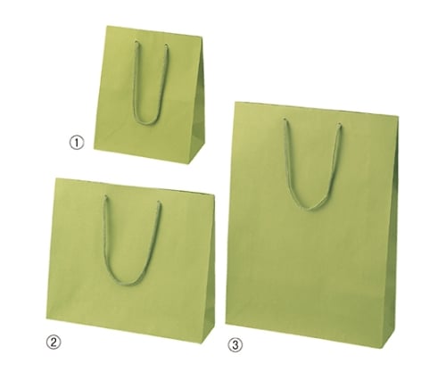 カラー手提げ紙袋 ヒワ 20×12×25 入数100枚　61-313-10-4