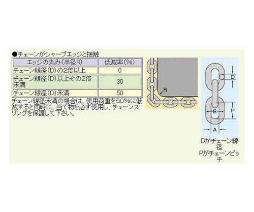 取扱を終了した商品です］チェーンスリング１００ ピンタイプ標準