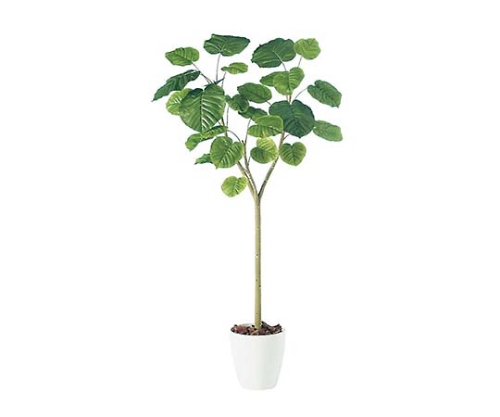 流通皆無‼️✩.*˚ウンベラータ 斑入り✩.*˚ 1 取扱を終了した商品です］人工観葉植物 ウンベラータ 98505 H1