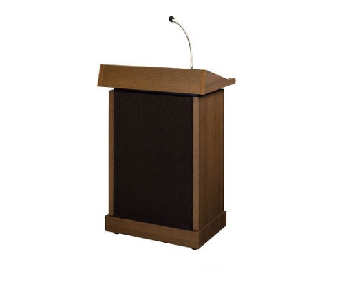 レクチャーアンプ30W