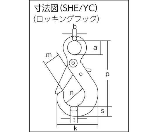 61-8683-81 チェーンスリング100（アイタイプ）荷重2.5t線径10.0mmL1