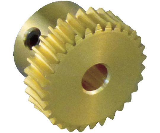 ウォームホイール モジュール0.5 黄銅　歯数：20