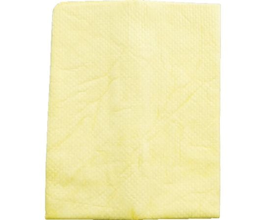 プラスセーヌ　ボディ＆ガラス　レギュラー2枚セット