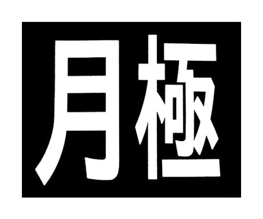 ロードマーキング　サイン　月極