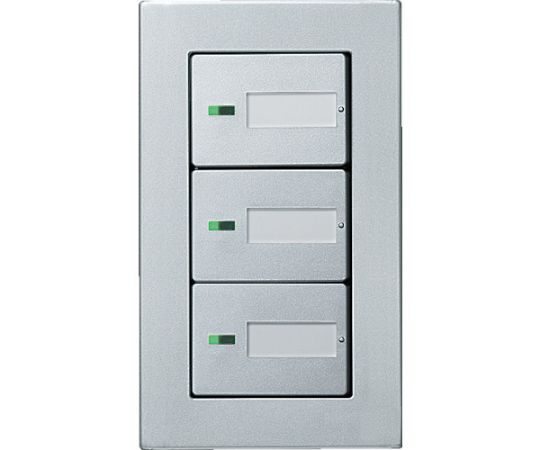 ラフィーネア埋込ほたるトリプルスイッチB