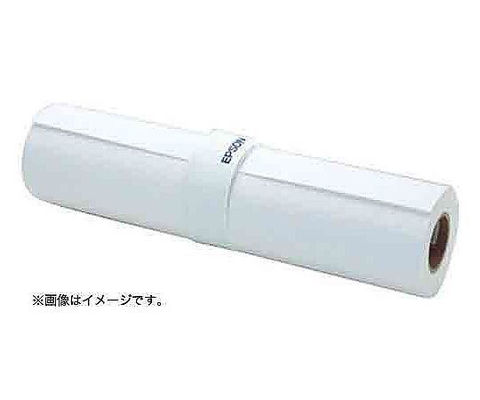 61-9096-15 プロ用写真用紙 光沢 610mm×30.5m 1本 PXMC24R12 【AXEL