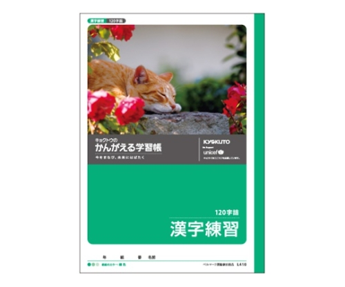 学習ノート 漢字練習 B5（120字 15×8） L416