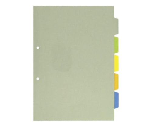 カラーインデックス 1パック（10組入）