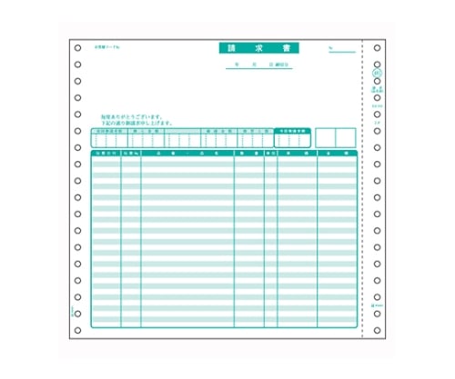 61-9353-90 コンピュータ用帳票 ドットプリンタ用 2枚複写 GB481